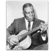 HOWLIN' WOLF.  The essays on these singers, producers and musicians.