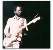 CURTIS MAYFIELD. The essays on these singers, producers and musicians.