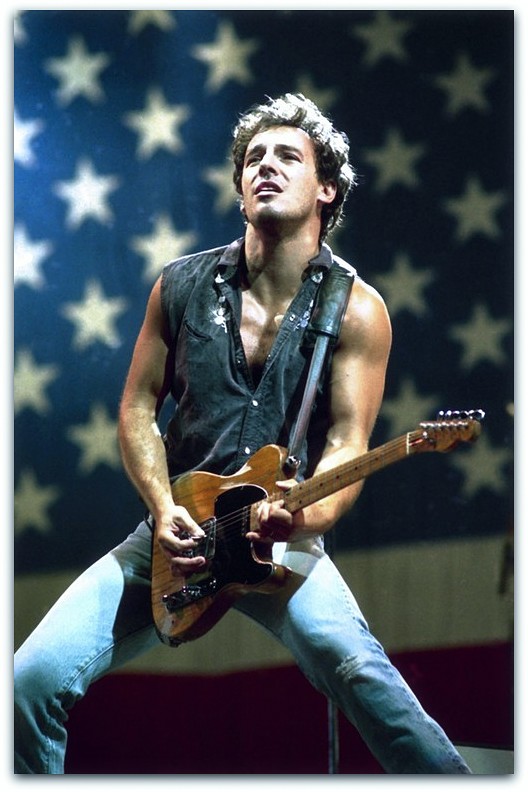 BRUCE SPRINGSTEEN. The essays on these singers, producers and musicians.