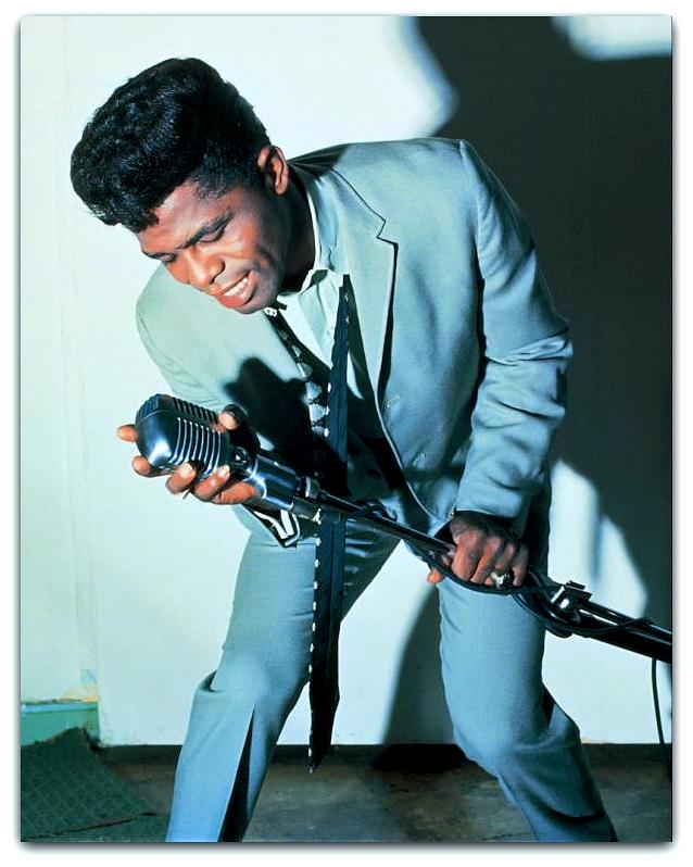 JAMES BROWN. The essays on these singers, producers and musicians.