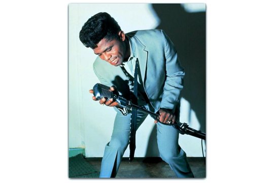 JAMES BROWN. The essays on these singers, producers and musicians.