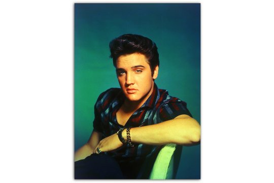 ELVIS PRESLEY. The essays on these singers, producers and musicians.