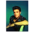 ELVIS PRESLEY. The essays on these singers, producers and musicians.