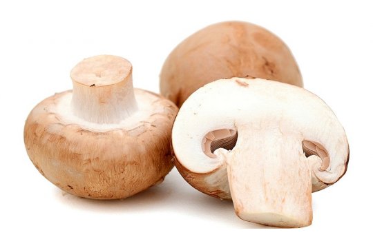 Champignons. Warenkunde und Zutaten (A-Z)