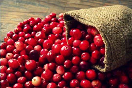 Cranberries. Warenkunde und Zutaten (A-Z)