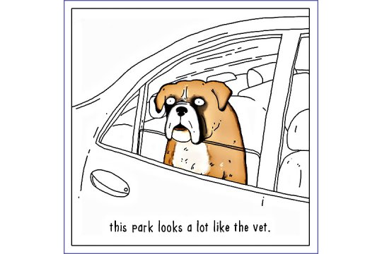 DOG IN A CAR |MolliMail.com