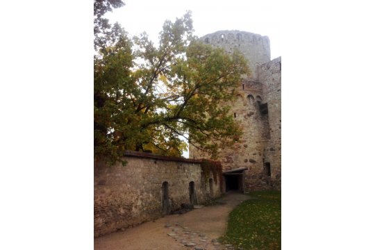 采西斯城堡，拉脱维亚，波罗的海国家，欧洲_11 |Diana Balahonova